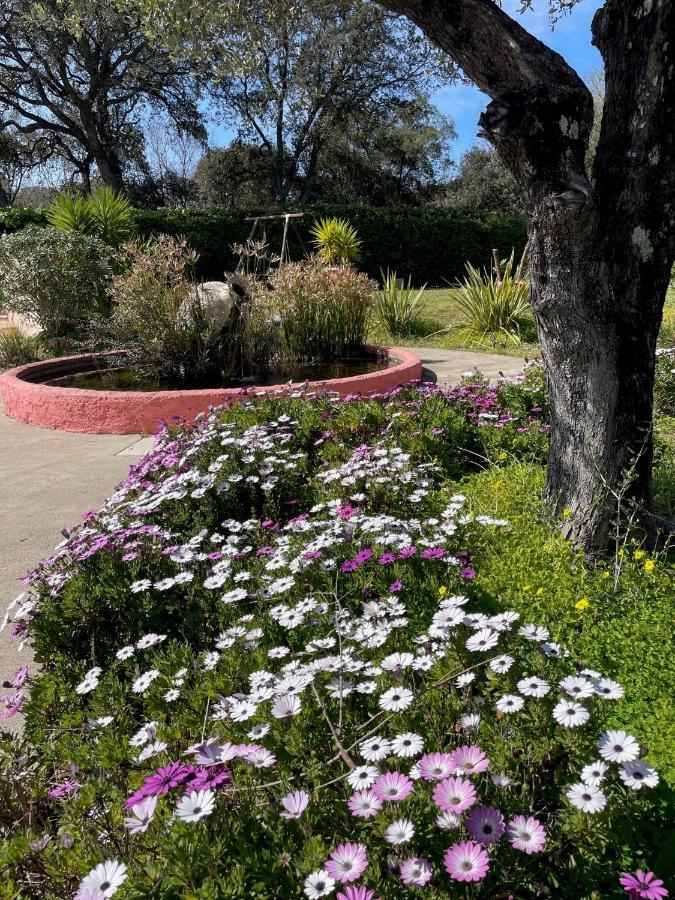فيلا Domaine Des Tuilieres Avec Piscine فالوريس المظهر الخارجي الصورة